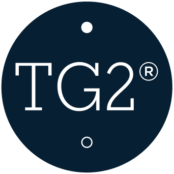 logo tg2